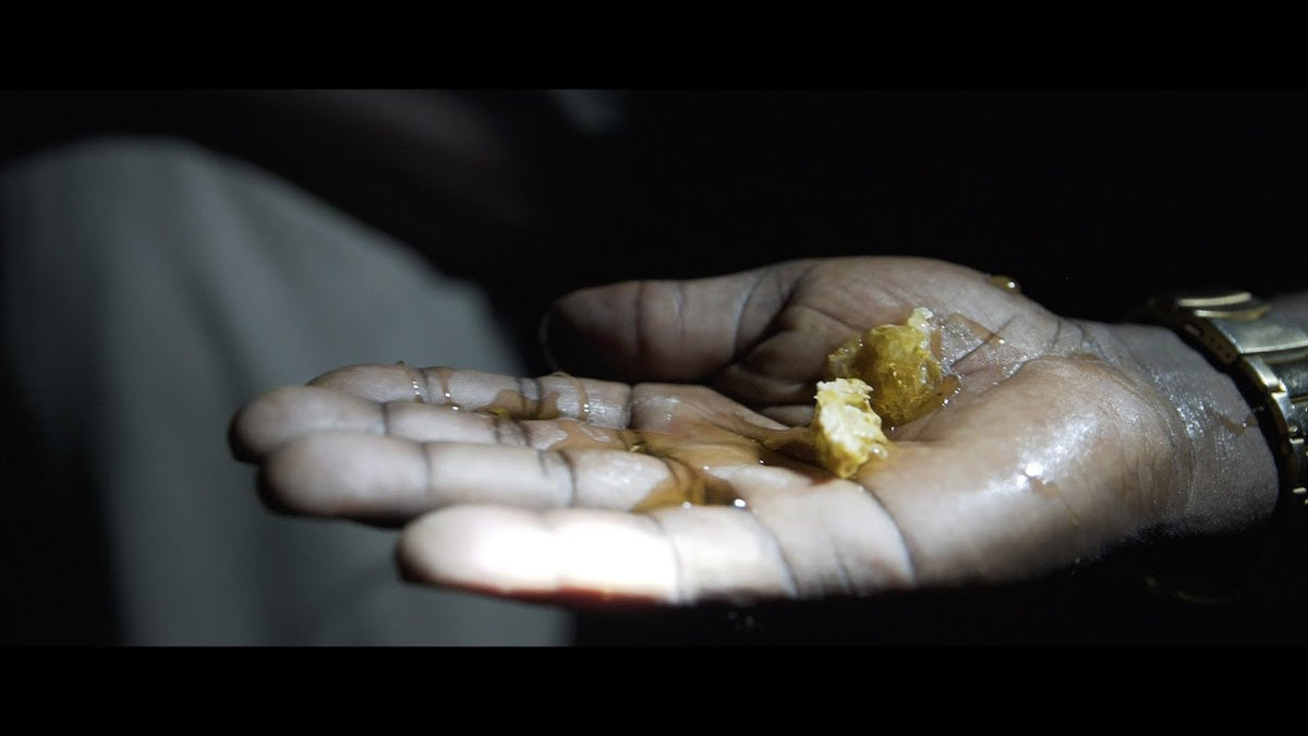 Video laden: Mahono Mahalabaani The Originators of Gold